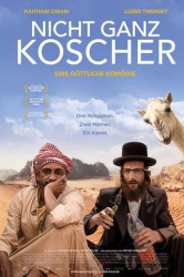 : Nicht ganz koscher Eine goettliche Komoedie German 2022 Ac3 DvdriP x264-SaviOur