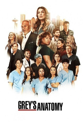 : Greys Anatomy Die jungen Aerzte S19E01-E06 German DL 1080p WEB x264 - FSX