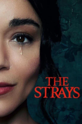 : The Strays 2023 German Dl 720p Web x264-WvF