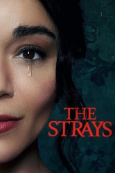 : The Strays 2023 German DL 720p WEB x264 - FSX