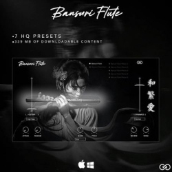 : Infinite Audio Bansuri Flute (VSTI) v1.0.0 