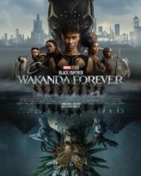 : Black Panther - Wakanda Forever 2022 German 800p AC3 microHD x264 - RAIST