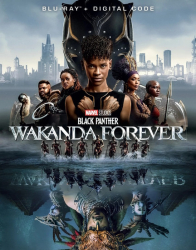 : Black Panther Wakanda Forever 2022 German Dd51 Dl BdriP x264-Jj