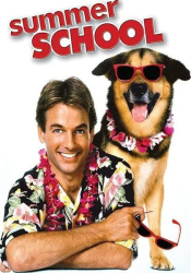 : Summer School 1987 German Dl 720p WebHd h264-DunghiLl