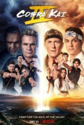 : Cobra Kai Staffel 4 2018 German AC3 microHD x264 - RAIST