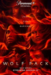 : Wolf Pack S01E01 German 1080p WEBRip x264 - FSX