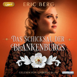 : Eric Berg - Das Schicksal der Blankenburgs - Die Porzellan-Dynastie 2