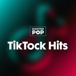 : TikTock Hits 2023 by Digster Pop (2023)