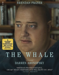 : The Whale 2022 German Md Ac3 Dl Bluray 1080p x264-Sneakman