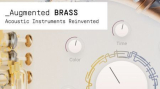 : Arturia Augmented BRASS v1.0