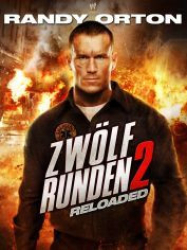 : 12 Runden 2 - Reloaded 2013 German 1080p AC3 microHD x264 - RAIST