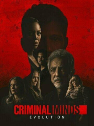 : Criminal Minds S16E10 German Dl 1080P Web H264-Wayne