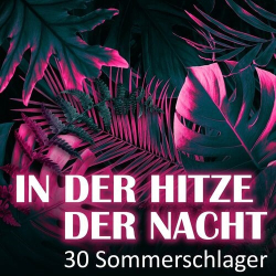 : In der Hitze der Nacht - 30 Sommerschlager (2023)