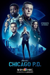 : Chicago Pd S10E10 German Dl 720P Web X264-Wayne