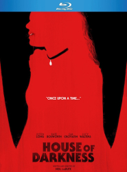 : House Of Darkness 2022 German Dd51 Dl BdriP x264-Jj