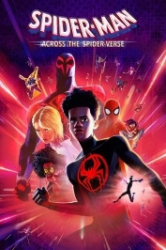 : Spider-Man - Across the Spider-Verse 2023 German 800p AC3 microHD x264 - RAIST