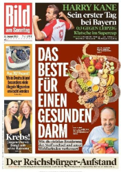 :  Bild am Sonntag vom 13 August 2023