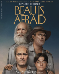 : Beau Is Afraid German Ac3 Bdrip x264-KiNowelt