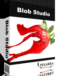 : Pixarra TwistedBrush Blob Studio 5.04