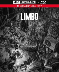 : Limbo 2021 German Dd51 Dl BdriP x264-Jj