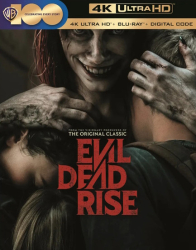 : Evil Dead Rise 2023 German Dd51 Dl BdriP x264-Jj