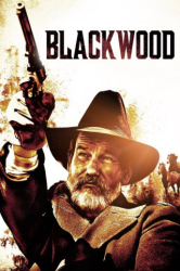 : Black Wood German 2022 Ac3 BdriP x264-Wdc