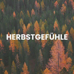 : Herbstgefühle (2023)