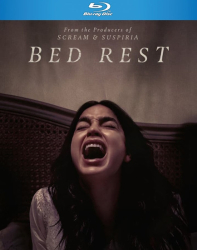 : Bed Rest 2022 German Dd51 Dl BdriP x264-Jj