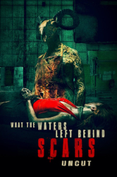 : What the Waters Left Behind Scars 2022 German 720p BluRay x264-Wdc