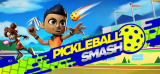 : Pickleball Smash-Tenoke