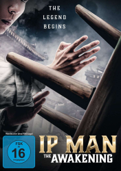 : Ip Man The Awakening 2021 German Dl 720p Web H264-Fawr