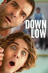 : Down Low 2023 German Ac3 Webrip x264-ZeroTwo