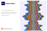 : Adobe Audition 2024 hidden