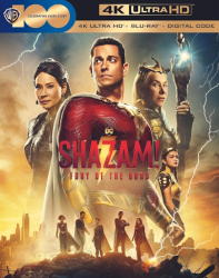 : Shazam Fury of the Gods 2023 German Dd51 Dl BdriP x264-Jj