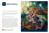 : Adobe Photoshop 2024 v25.2.0.196 Portable (x64)