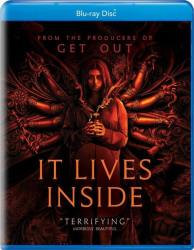 : It Lives Inside 2023 German BDRip x264 - DSFM