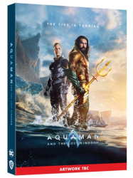 : Aquaman Lost Kingdom 2023 German AC3 MD TSRiP x264 - LDO