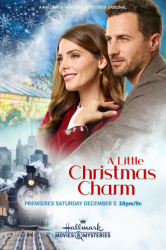 : A Little Christmas Charm 2020 German Dl 720p WebHd h264-DunghiLl