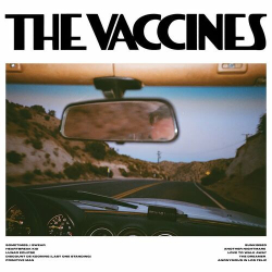 : The Vaccines - Pick-Up Full Of Pink Carnations (2024)