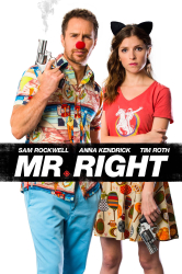 : Mr Right 2015 German Ac3 Dl 1080p BluRay x265-FuN