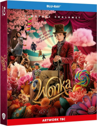 : Wonka 2023 German AC3D WEBRip x264 - LDO