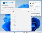 : Windows 11 Pro 23H2 Build 22631.3007 Ankh Tech (x64)