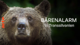 : Baerenalarm in Transsilvanien German Doku 720p Hdtv x264-Pumuck