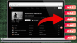 : Pazu YouTube Music Converter hidden