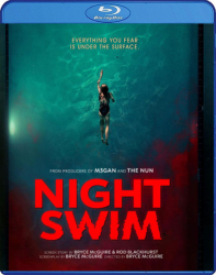 : Night Swim 2024 German LD EAC3 WEBRip x265-LDO