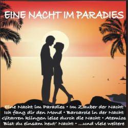 : Eine Nacht im Paradies (2015)