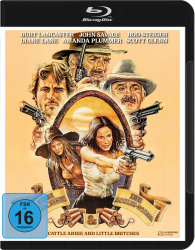 : Zwei Maedchen und die Doolin Bande 1980 German Bdrip x264-ContriButiOn