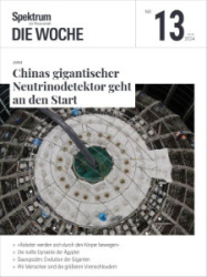 : Spektrum Die Woche Magazin Nr 13 vom 28 März 2024