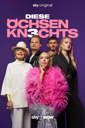 : Diese Ochsenknechts S03E08 German 1080p Web h264-Haxe