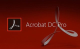 : Adobe Acrobat Pro DC 2024.001.20643 (x64)